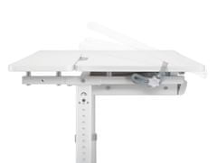 Nastaviteľný detský stôl XD SPE-X102W 100x60 cm