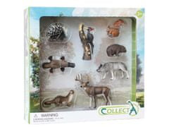 COLLECTA Collecta Sada figúrok pre deti, figúrky lesných zvieratiek 3+ 