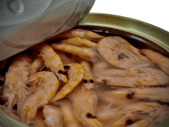 Lk Baits Natur Canned Shrimps 100g