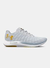 Under Armour Topánky UA Charged Breeze 2-GRY 47