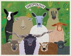 Puzzle Sheepology 1000 dielikov