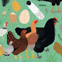 Puzzle Chickenology 1000 dielikov