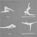 Spokey MALLOW Skladacia joga podložka, 173 x 61 x 0,4 cm, šedá