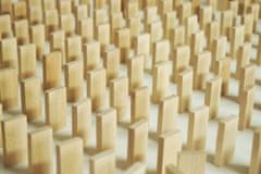 Dřevěné domino přírodní 830 ks