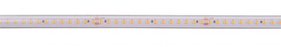 Light Impressions Deko-Light LED pásik, Long Run, SMD, 48V-10W, 2700K, 15m, silikón, konštantné napätie, 48V DC 10 W/m 1090 lm/m 15000 mm 840396