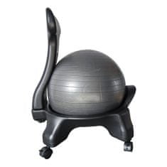 Timeless Tools Fitness stolička s loptou s priemerom 55 cm