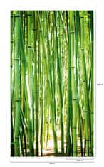 Vliesová obrazová tapeta Bambus A36901, 159 x 280 cm, One roll, Murals