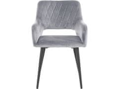 Danish Style Jedálenská stolička Franca (SET 2 ks) zamat, šedá