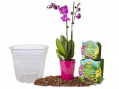 Planta Sada zeminy pre orchidey s kvetináčom 1,1 l