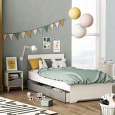 Casa Vital GENIUS posteľ pre mladých, pre matrac 90x200 alebo 90x190 cm, sivá, biela