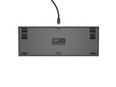 Genesis herná mechanická klávesnica THOR 404/RGB/Khail Box Brown/Drôtová USB/US layout/Čierna