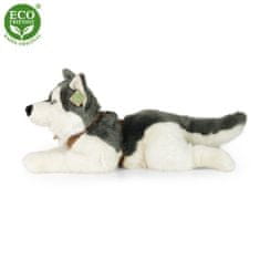 Rappa Plyšový pes husky s obojkom ležiaci 60 cm ECO-FRIENDLY