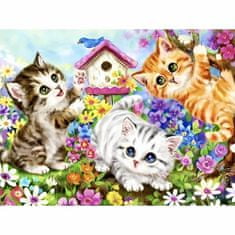 Maaleo  22781 Maľovanie podľa čísel - Mačky 40 x 50 cm
