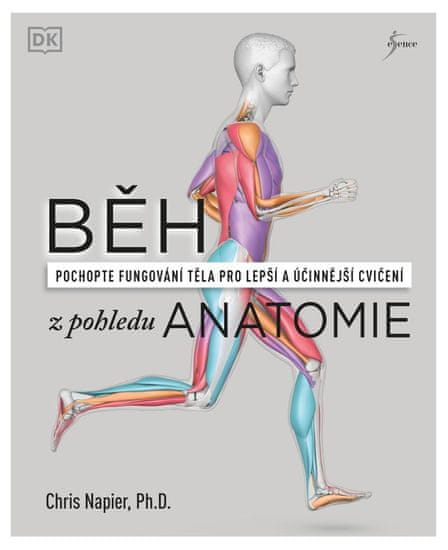Beh z pohľadu anatómie - Správna technika, prevencia pred zranením, nastavenie tréningu