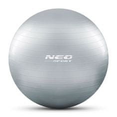 Neo-Sport Cvičebná lopta 65 cm NS-951 strieborná