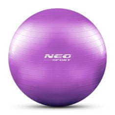 Neo-Sport Cvičebná lopta 65 cm NS-951 fialová