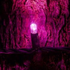 DecoLED DecoLED LED svetelná reťaz 5 m, ružová, 50 diód, IP67