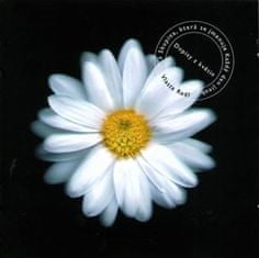 Vlasta Redl: Dopisy z květin (20th Anniversary)