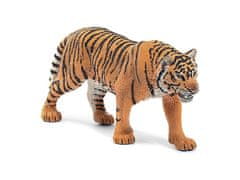sarcia.eu Schleich Wild Life - Sibírsky tiger, figurka pre deti od 3 rokov 