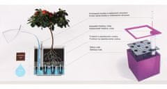 Plastkon Cubico samozavlažovací kvetináč čierna 27 cm