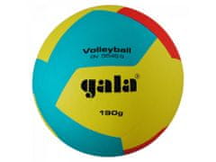 Gala Lopta volejbal Gala BV5545S