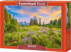 Castorland Puzzle Ranné kvety 2000 dielikov