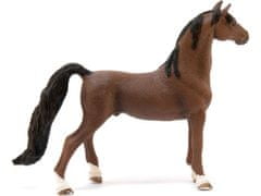 sarcia.eu Schleich Horse Club - Koň rasy American Saddlebred, hračka pre deti od 5 rokov 