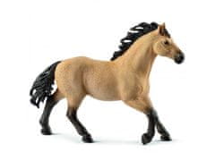 sarcia.eu Schleich Horse Club - Kôň hřebec plemene Quarter, figurína pre deti od 5 rokov 