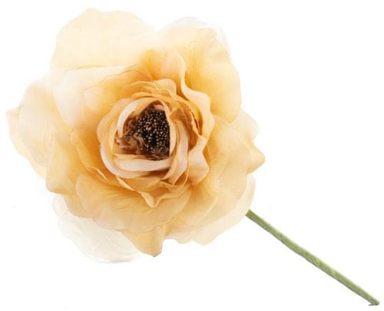 Strend Pro Kvet MagicHome, pivónia, zlatá, stonka, veľkosť kvetu: 16 cm, dĺžka kvetu: 24 cm, .