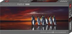 Heye Panoramatické puzzle Tučniaky kráľovskí 1000 dielikov