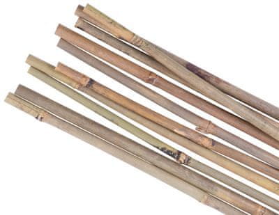 Strend Pro Tyč Garden KBT 2100/16-18 mm, bal. 10 ks, bambus, oporná k rastlinám