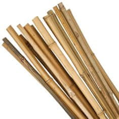 Strend Pro Tyč Garden KBT 1500/12-14 mm, bal. 10 ks, bambus, oporná k rastlinám