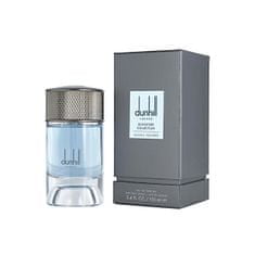 Dunhill Nordic Fougere - EDP 100 ml