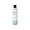 Posilňujúci šampón proti vypadávaniu vlasov Hair Booster (Sulfate Free Shampoo) 250 ml