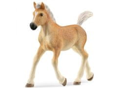 sarcia.eu 13951 Schleich Horse Club - Hafelinger hřebec, figurka pro děti od 5 let