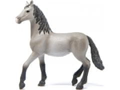 sarcia.eu 13924 Schleich Horse Club - Španielsky mladý kôň rasy Pura Raza Española, figurka pre deti od 5 rokov