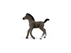 sarcia.eu 13957 Schleich Horse Club - Žriebä plemena selle français, figurka pre deti od 5 rokov 