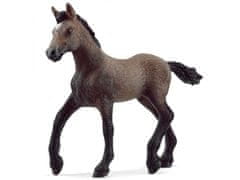 sarcia.eu 13954 Schleich Horse Club - Žriebä plemena paso peruwiański, figurka pre deti od 5 rokov