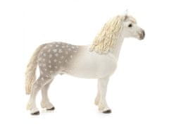 sarcia.eu 13871 Schleich Farm World - Walijský kôň, hřebec, figurka pre deti od 3 rokov 