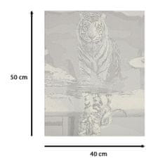 WOWO Maľba podľa čísel, Mačka a Tiger, Rozmery 50x40cm