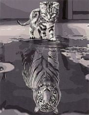 WOWO Maľba podľa čísel, Mačka a Tiger, Rozmery 50x40cm