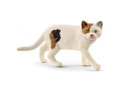 sarcia.eu 13894 Schleich Farm World - Mačka americana, krátkosrstá figurka pre deti od 3 rokov 