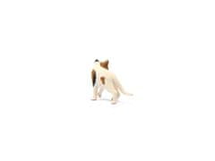 sarcia.eu 13894 Schleich Farm World - Mačka americana, krátkosrstá figurka pre deti od 3 rokov 