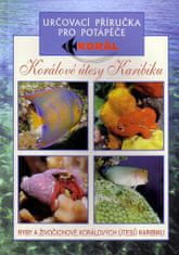 Koralové útesy v karibiku - Určovacia príručka pre potapačov - Ryby a živočíchy koralových útesov Karibiku