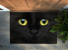 tulup.sk Rohožka pred dvere Čierna mačka 60x40 cm