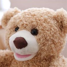 JOJOY® Interaktívna hračka medvedíka | BARNIE