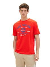 Tom Tailor Pánske tričko Regular Fit 1037735.13189 (Veľkosť L)