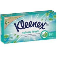 Kleenex hyg.vrec. PACK 5 x Natural Fresh Box 4x64ks