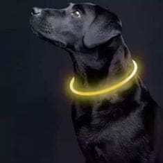 Popron.cz Flexibilní LED obojek pro psy - svítící