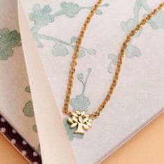 La Petite Story Elegantný pozlátený náhrdelník s kryštálom Family LPS10ASF05